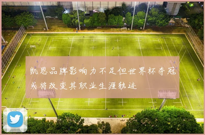 凯恩品牌影响力不足但世界杯夺冠或将改变其职业生涯轨迹